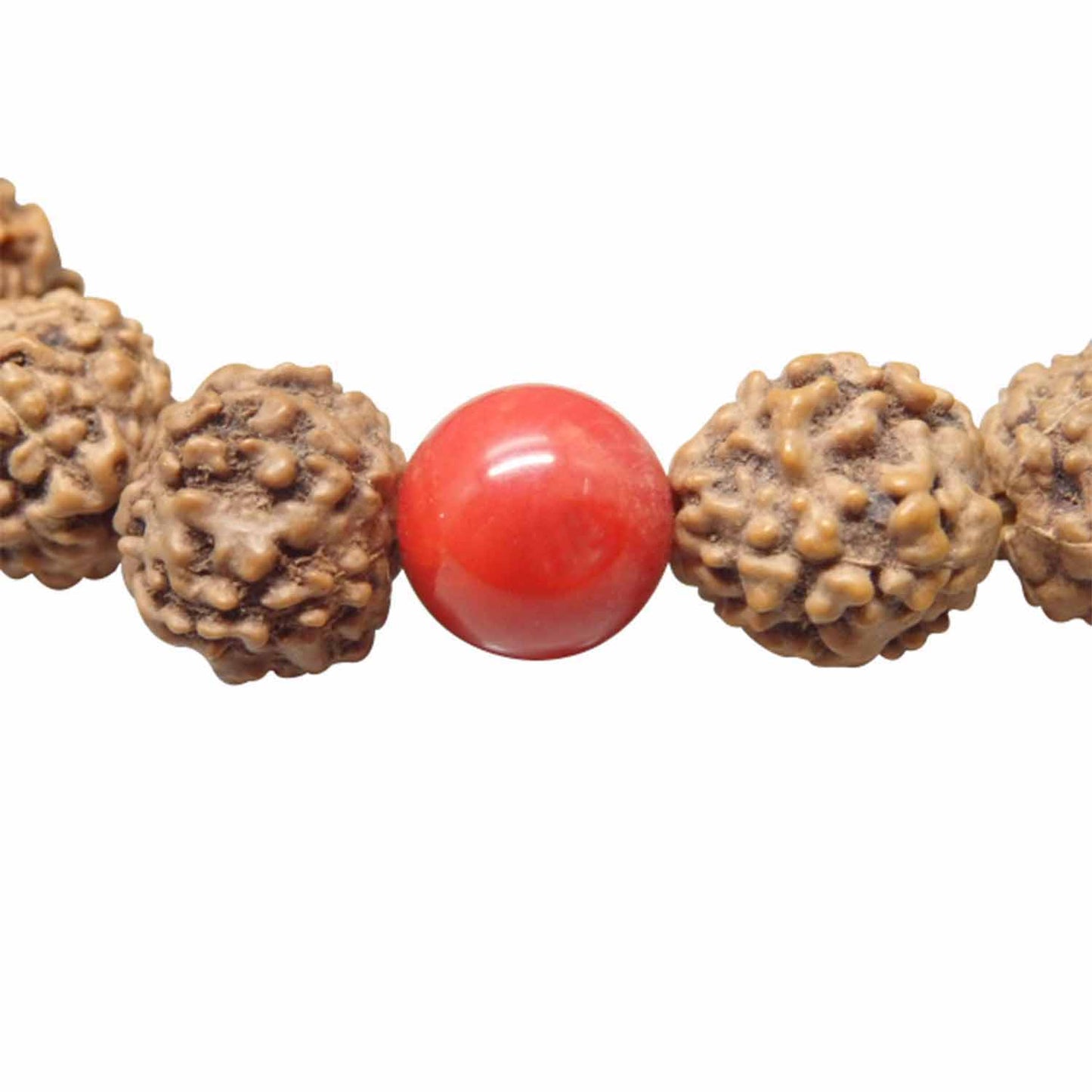 Arihant Gems and Jewels 5 Mukhi/Faced Indonesia Rudraksh Bracelet with "Coral"| Natural & Certified | Astrological Gemstone | Positive Effect | Unisex Both for Men & Women