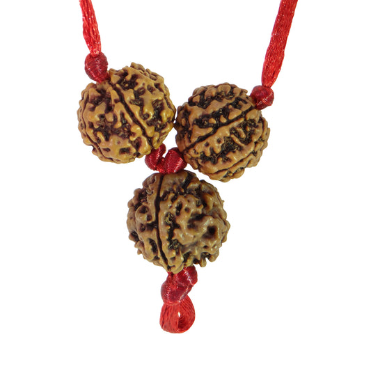 Arihant Gems & Jewels Brown Saraswati Bandh 2 Beads of 4 Mukhi/Faced & 1 Bead of 6 Mukhi/Faced Rudraksha | Natural & Certified | Astrological Rudraksha | Unisex Both for Men & Women