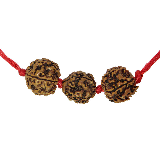 Arihant Gems & Jewels Brown Saraswati Bandh 2 Beads of 4 Mukhi/Faced & 1 Bead of 6 Mukhi/Faced Rudraksha | Natural & Certified | Astrological Rudraksha | Unisex Both for Men & Women