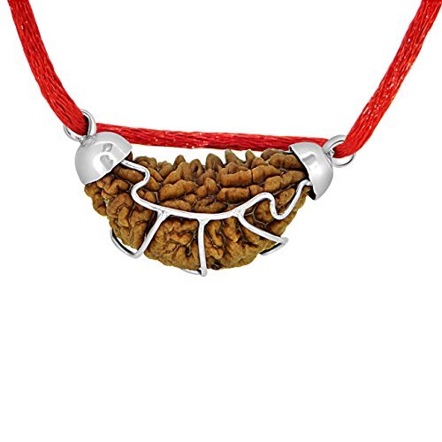 Arihant Gems & Jewels One Faced Rudraksha Half Moon Shaped (Brown)