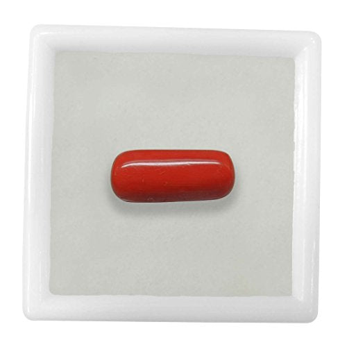 Coral Moonga 4.50 to 12.50 Ratti Natural & Certified Coral (Moonga) Astrological Gemstone by Arihant Gems and Jewels