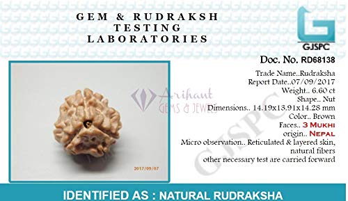 ARIHANT GEMS & JEWELS 3 Mukhi Nepali Rudraksha (Brown)