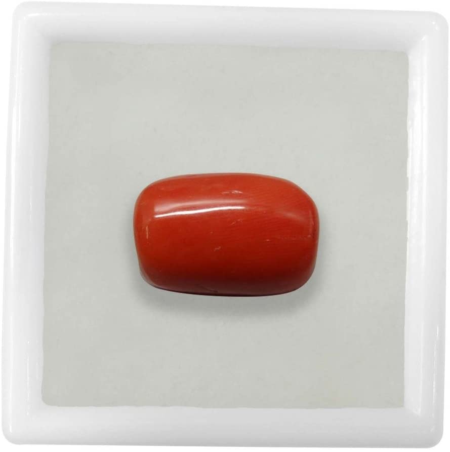 Coral (Moonga) 3.25 - 21.25 Ratti Natural & Certified Astrological Gemstone Excellent Quality