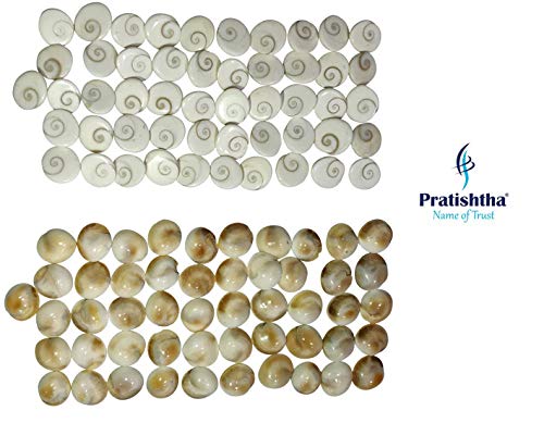 Arihant Gems & Jewels Stone Natural Gomti Chakra Astrological Gemstone, Standard, White -Set of 51 Pieces