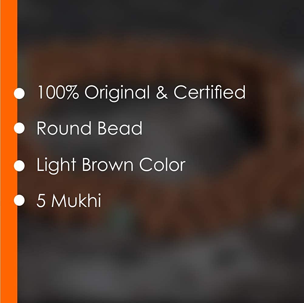 Arihant Gems & Jewels Silver and Brown 925 Silver 5 Faced Certified Nepali Rudraksha Pendant for Men and Women