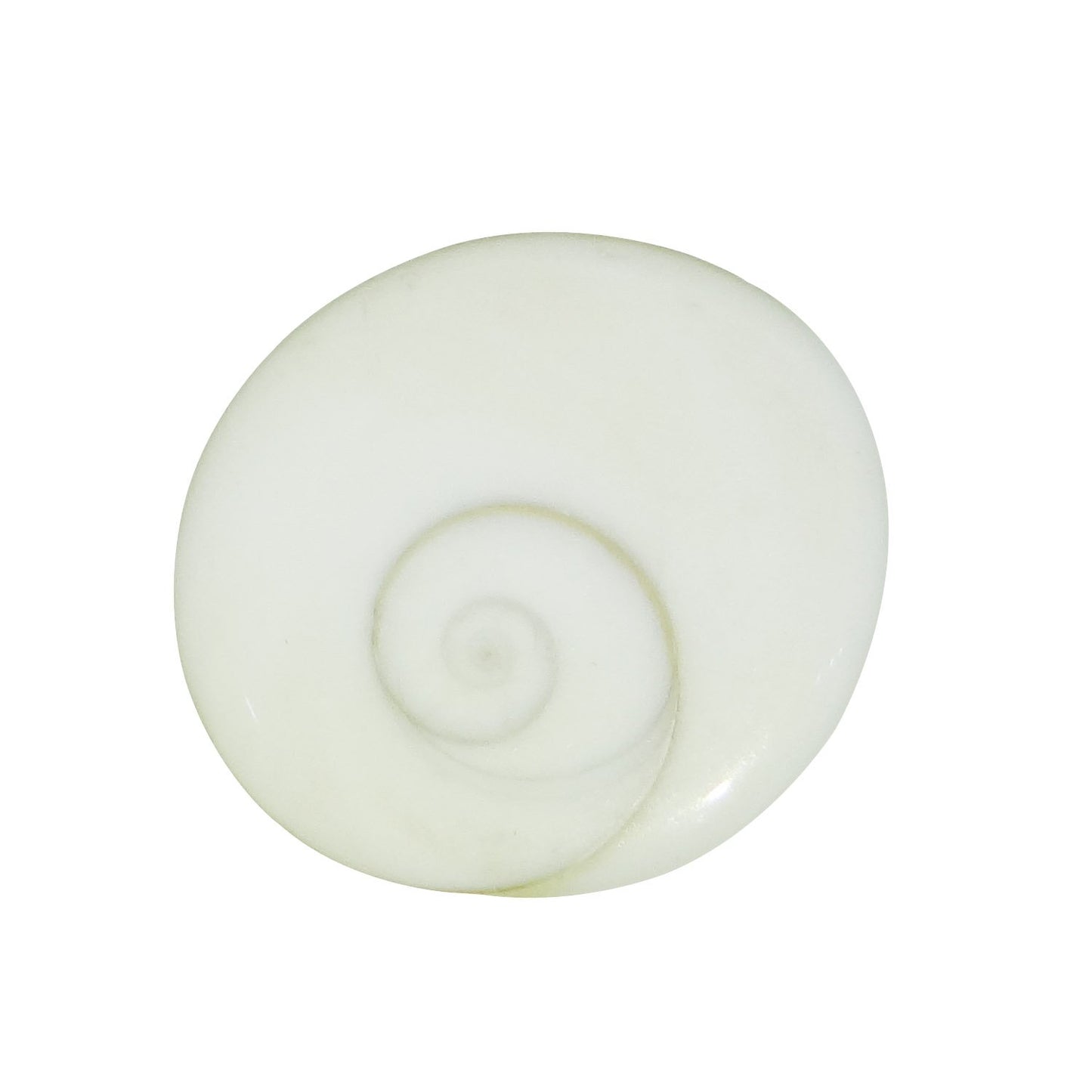 Arihant Gems & Jewels White Stone Natural Gomti Chakra Astrological Gemstone -11 Pieces