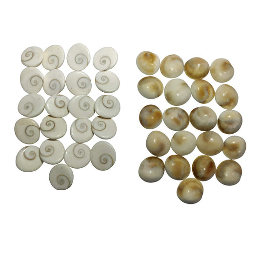 ARIHANT GEMS & JEWELS White Gomathi Natural Gomti Chakra Astrological Gemstone-21 Pieces for worship and spiritual benefits