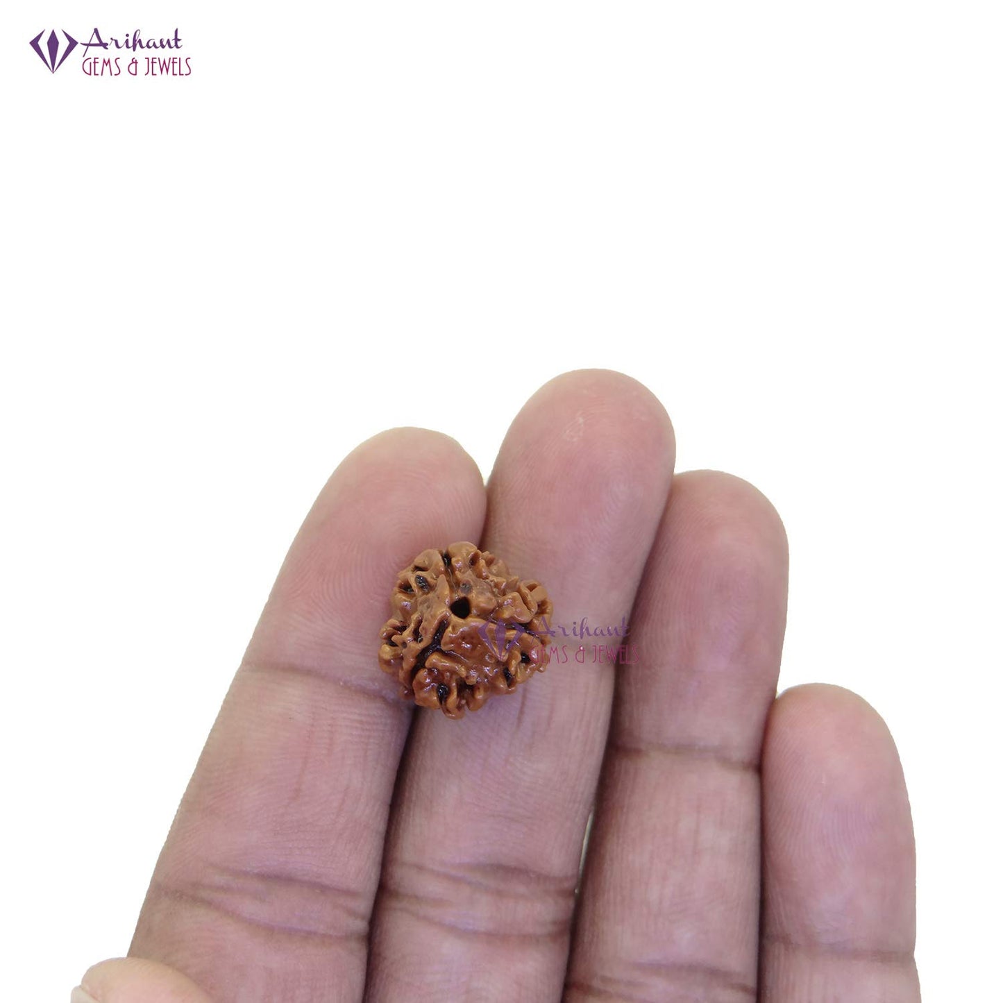 ARIHANT GEMS & JEWELS 3 Mukhi Nepali Rudraksha (Brown)