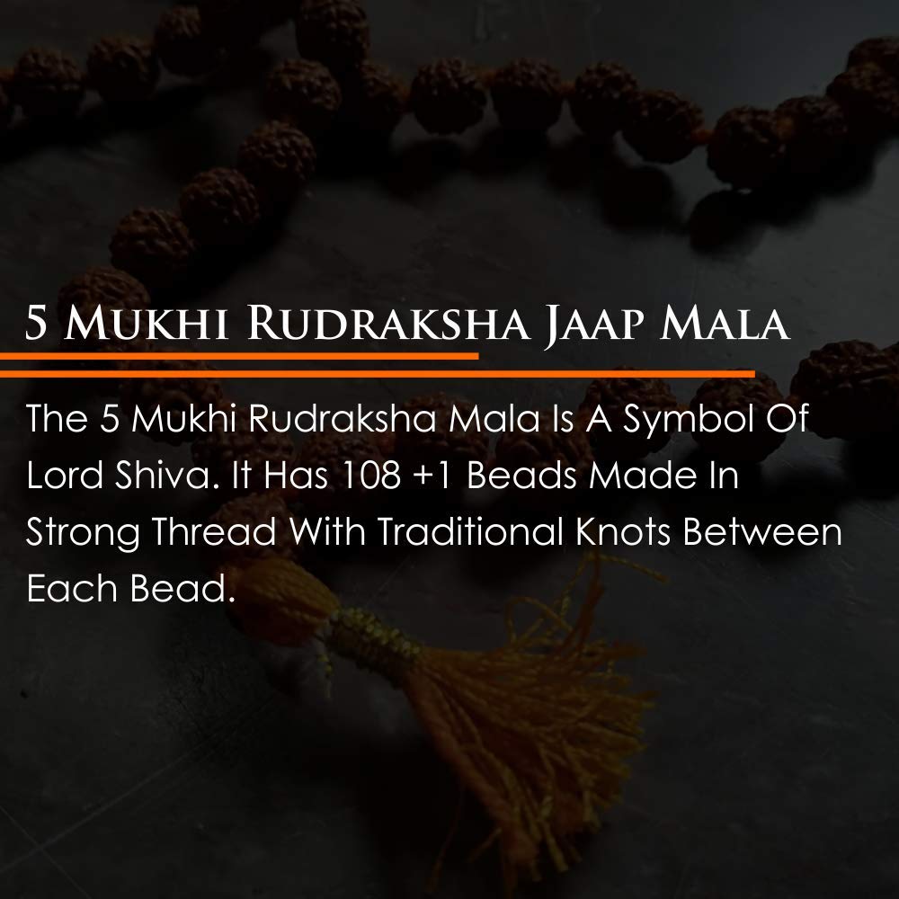 Arihant Gems & Jewels 5 Mukhi 108+1 Beads Rudraksha Jaap Mala (Orange)