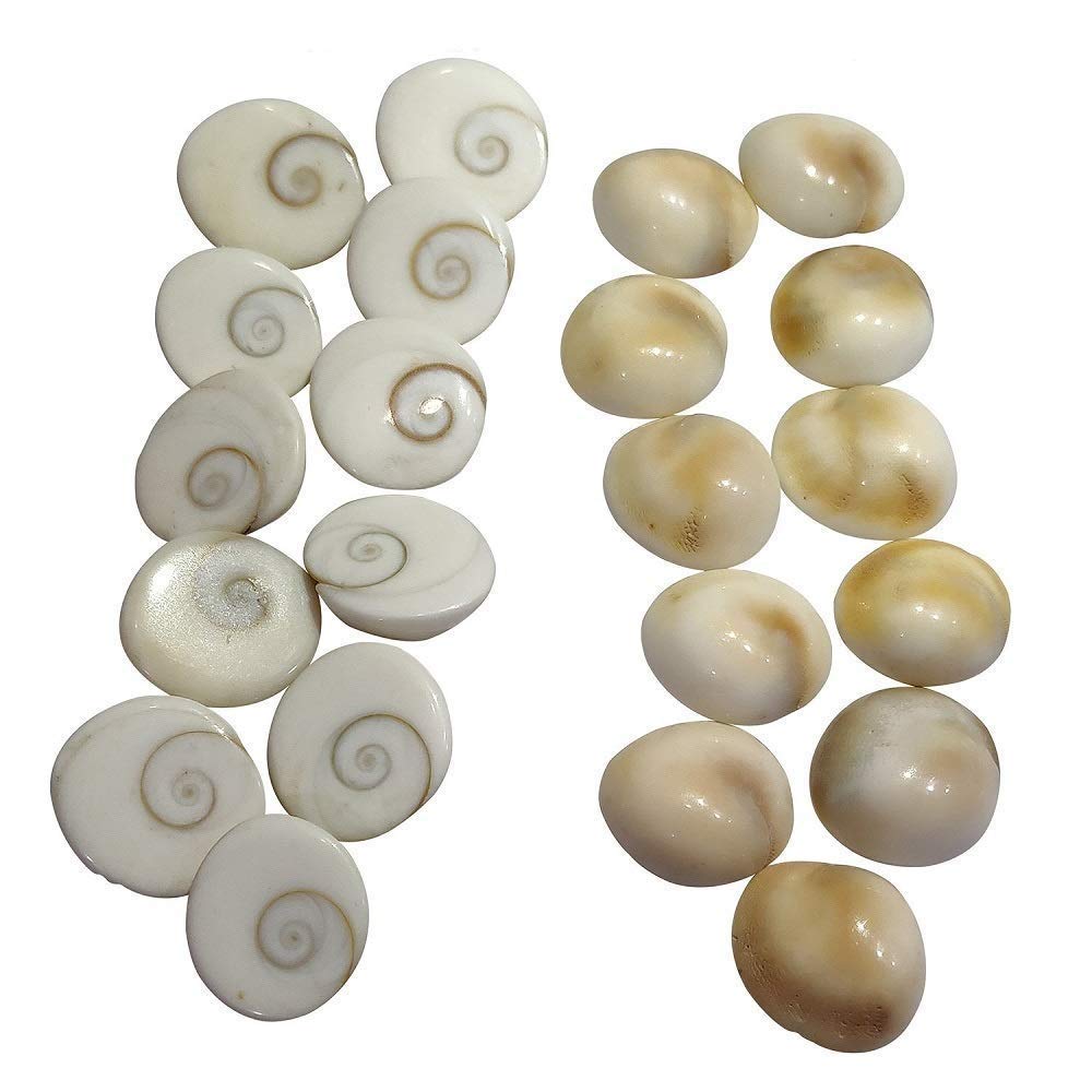 Arihant Gems & Jewels White Stone Natural Gomti Chakra Astrological Gemstone -11 Pieces