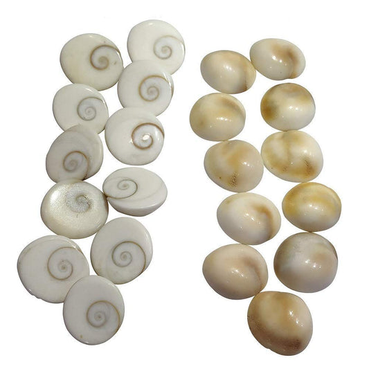 Arihant Gems & Jewels White Stone Natural Gomti Chakra Astrological Gemstone -11 Pieces