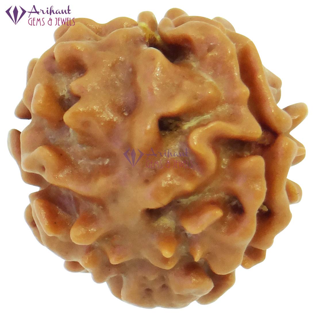 ARIHANT GEMS & JEWELS 3 Mukhi Nepali Rudraksha (Brown)