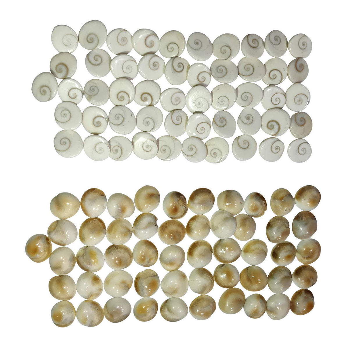 Arihant Gems & Jewels Stone Natural Gomti Chakra Astrological Gemstone, Standard, White -Set of 51 Pieces
