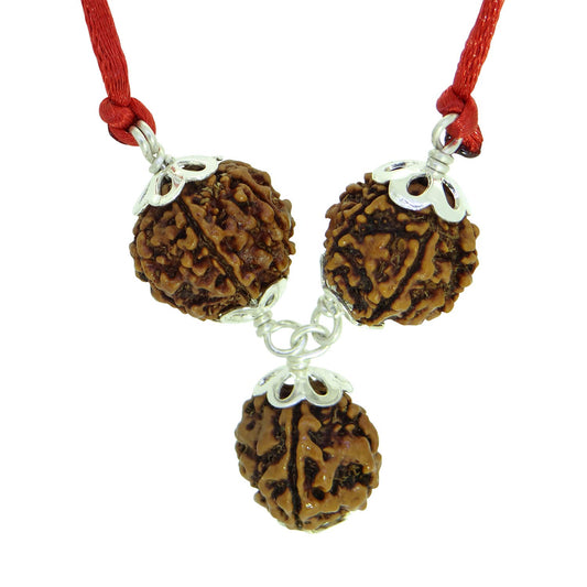 Arihant Gems & Jewels Silver Saraswati Bandh of Rudraksha 2 Beads of 4 mukhi and one Bead of 6 mukhi rudrakshas (Brown)