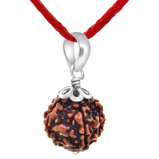 Arihant Gems & Jewels Silver and Brown 925 Silver 5 Faced Certified Nepali Rudraksha Pendant for Men and Women