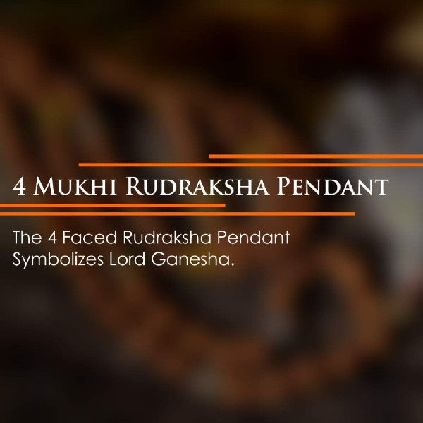 4 Mukhi NEPALI RUDRAKSHA / Four Faced RUDRAKSHA 100% Original & Certified   (4 MUKHI RUDRAKSHA)