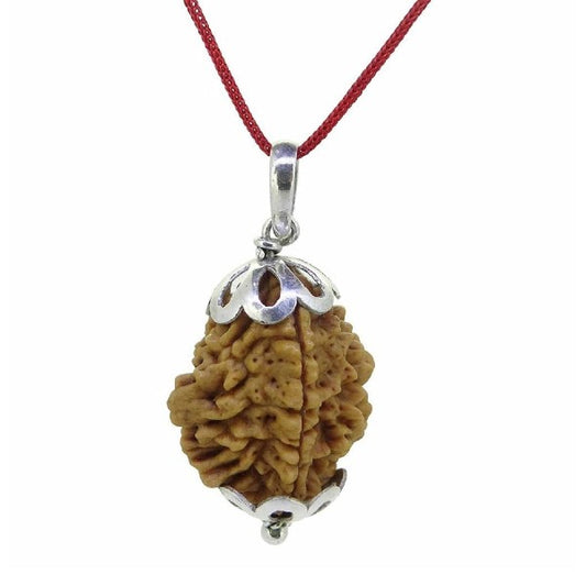 Rudraksha 2 Mukhi INDIAN RUDRAKSHA SILVER 925 PENDANT Two Faced RUDRAKSHA 100% Original and Certified