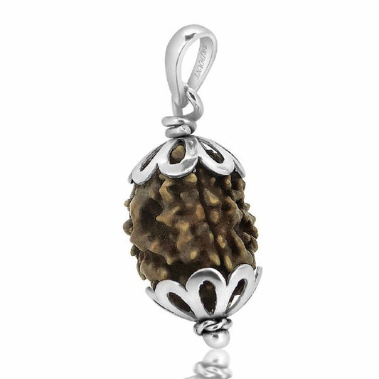 Rudraksha 3 Mukhi India RUDRAKSHA SILVER 925 Pendant Three Faced RUDRAKSHA and Certified