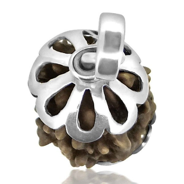 Rudraksha 3 Mukhi India RUDRAKSHA SILVER 925 Pendant Three Faced RUDRAKSHA and Certified