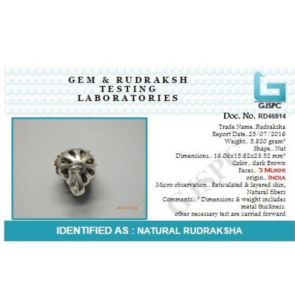 Rudraksha 3 Mukhi India RUDRAKSHA SILVER 925 Pendant Three Faced RUDRAKSHA and Certified