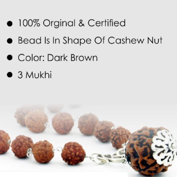 Rudraksha 3 Mukhi India RUDRAKSHA SILVER 925 Pendant Three Faced RUDRAKSHA and Certified