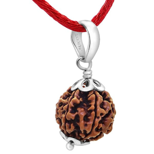 6 Mukhi NEPALI RUDRAKSHA SILVER 925 PENDANT / Six Faced RUDRAKSHA 100% Original & Certified