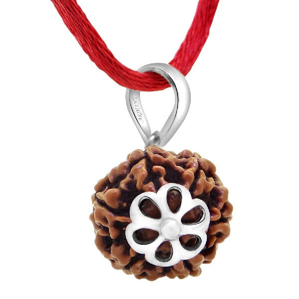 6 Mukhi NEPALI RUDRAKSHA SILVER 925 PENDANT / Six Faced RUDRAKSHA 100% Original & Certified