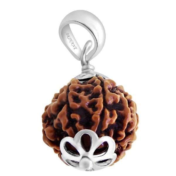 6 Mukhi NEPALI RUDRAKSHA SILVER 925 PENDANT / Six Faced RUDRAKSHA 100% Original & Certified