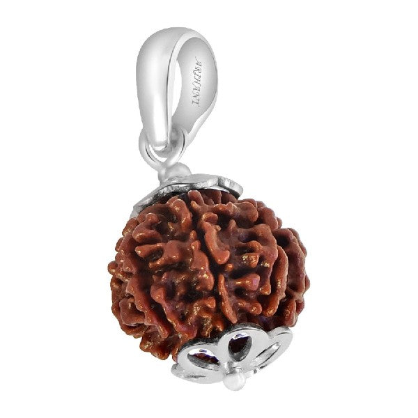 7 Mukhi NEPALI RUDRAKSHA SILVER 925 PENDANT Seven Faced RUDRAKSHA 100 Original Certified
