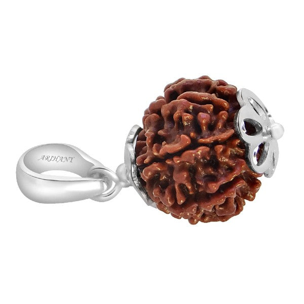 7 Mukhi NEPALI RUDRAKSHA SILVER 925 PENDANT Seven Faced RUDRAKSHA 100 Original Certified