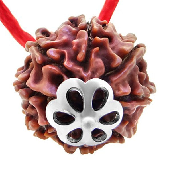 8 Mukhi NEPALI RUDRAKSHA SILVER 925 PENDANT / Eight Faced RUDRAKSHA 100% Original & Certified