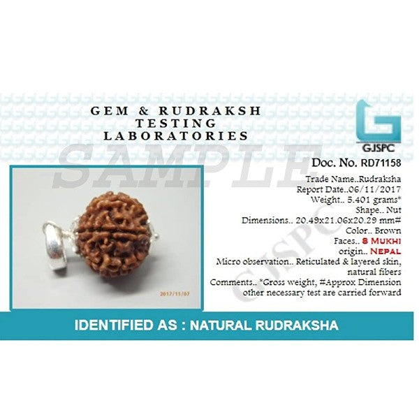 8 Mukhi NEPALI RUDRAKSHA SILVER 925 PENDANT / Eight Faced RUDRAKSHA 100% Original & Certified
