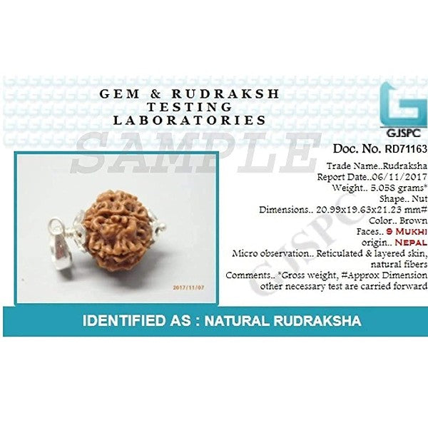 9 Mukhi NEPALI RUDRAKSHA SILVER 925 PENDANT Nine Faced RUDRAKSHA 100 Original Certified