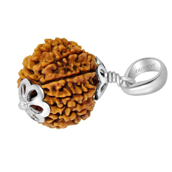 12 Mukhi NEPALI RUDRAKSHA SILVER 925 PENDANT / Twelve Faced RUDRAKSHA 100% Original & Certified