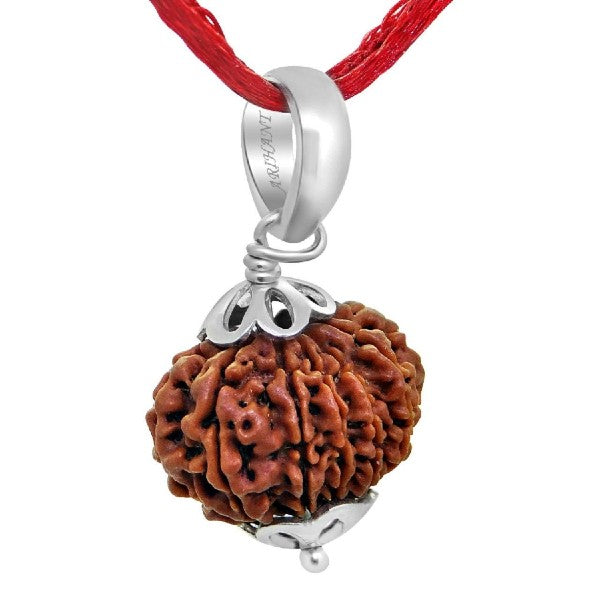 13 Mukhi NEPALI RUDRAKSHA SILVER 925 PENDANT / Thirteen Faced RUDRAKSHA 100% Original & Certified