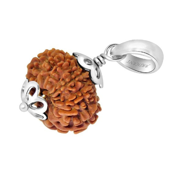 13 Mukhi NEPALI RUDRAKSHA SILVER 925 PENDANT / Thirteen Faced RUDRAKSHA 100% Original & Certified
