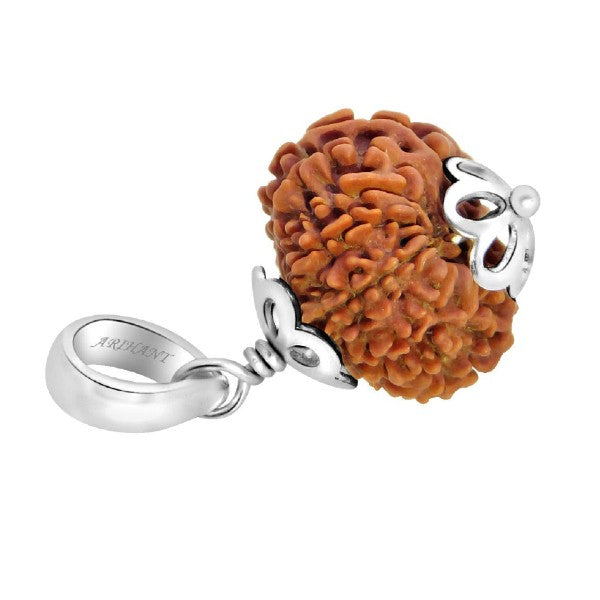 13 Mukhi NEPALI RUDRAKSHA SILVER 925 PENDANT / Thirteen Faced RUDRAKSHA 100% Original & Certified