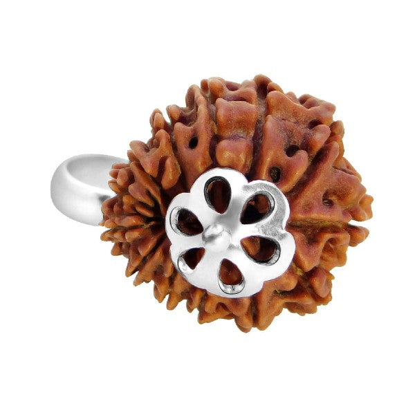 13 Mukhi NEPALI RUDRAKSHA SILVER 925 PENDANT / Thirteen Faced RUDRAKSHA 100% Original & Certified