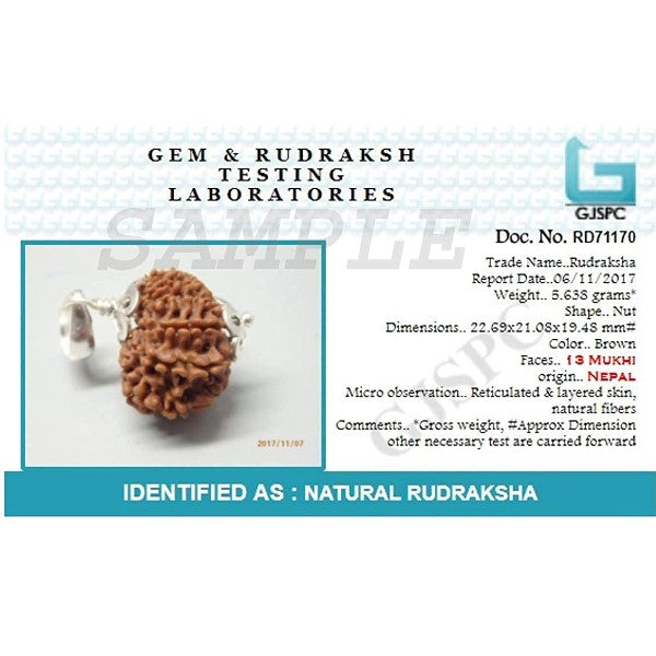 13 Mukhi NEPALI RUDRAKSHA SILVER 925 PENDANT / Thirteen Faced RUDRAKSHA 100% Original & Certified