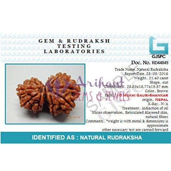 10 Mukhi GAURI SHANKER NEPALI RUDRAKSHA 100% Original & Certified