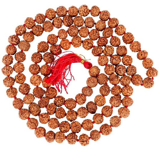 5 Mukhi RUDRAKSHA JAAP MALA FOR POOJA (ASTROLOGY) (108+1 Beads) 100% Original & Certified