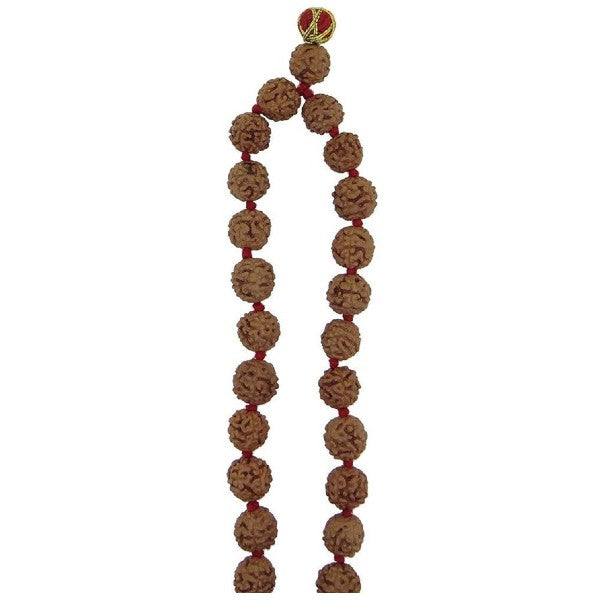 Rudraksha 5 Mukhi RUDRAKSHA JAAP MALA FOR POOJA (ASTROLOGY) (108+1 Beads) 100% Original and certified
