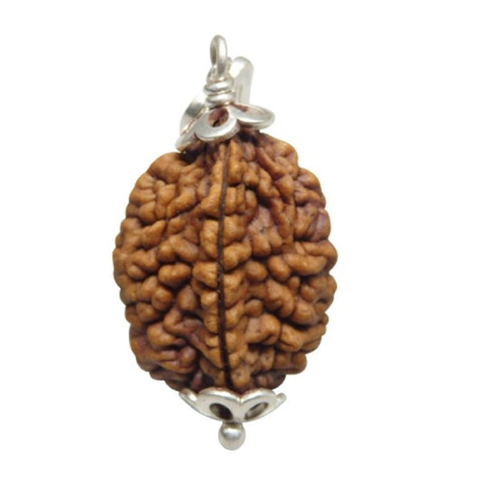 Rudraksha 2 Mukhi INDIA RUDRAKSHA SILVER 925 TRISHUL PENDANT Two Faced RUDRAKSHA 100% Original and Certified