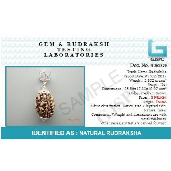 7 Mukhi NEPALI RUDRAKSHA SILVER 925 TRISHUL PENDANT / Seven Faced RUDRAKSHA 100% Original & Certified