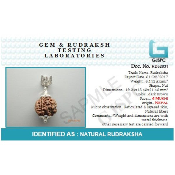 5 Mukhi NEPALI RUDRAKSHA SILVER 925 TRISHUL PENDANT / Five Faced RUDRAKSHA 100% Original & Certified
