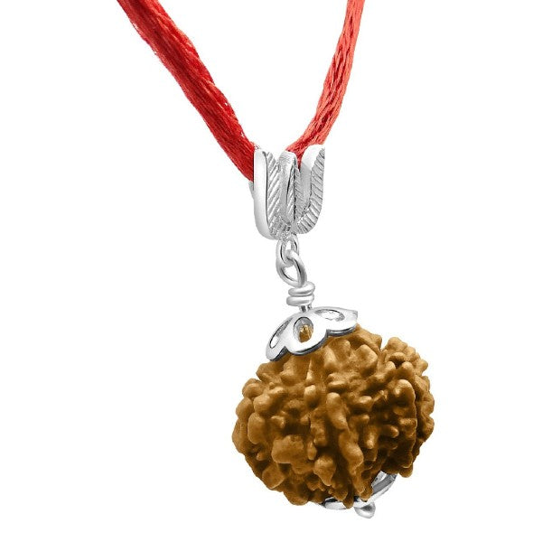 7 Mukhi NEPALI RUDRAKSHA SILVER 925 TRISHUL PENDANT / Seven Faced RUDRAKSHA 100% Original & Certified