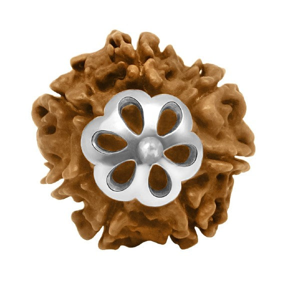 7 Mukhi NEPALI RUDRAKSHA SILVER 925 TRISHUL PENDANT / Seven Faced RUDRAKSHA 100% Original & Certified