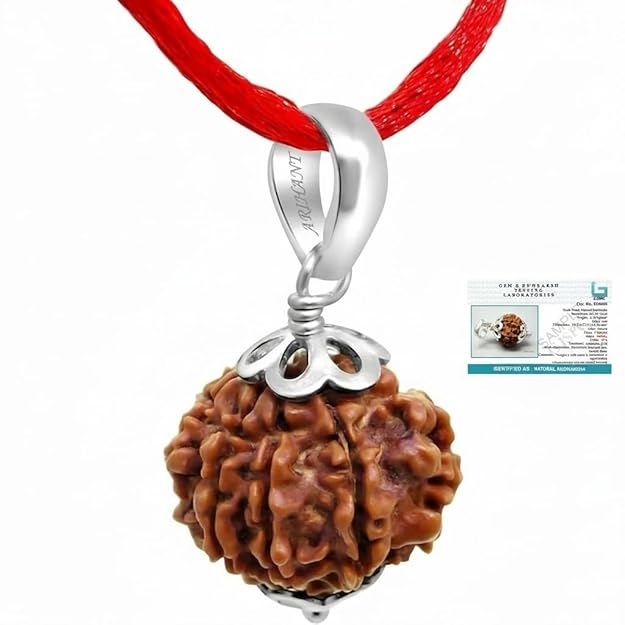 7 Mukhi Nepali Rudraksha Pendant in 925 Sterling Silver with Certificate | Original Certified Rudraksha