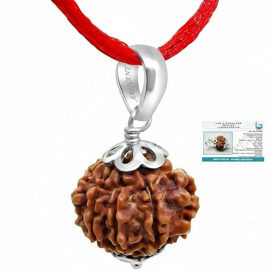 7 Mukhi Nepali Rudraksha Pendant in 925 Sterling Silver with Certificate | Original Certified Rudraksha