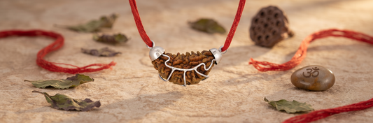 1 Mukhi India Rudraksha Silver 925 Pendant Arihant Gems & Jewels